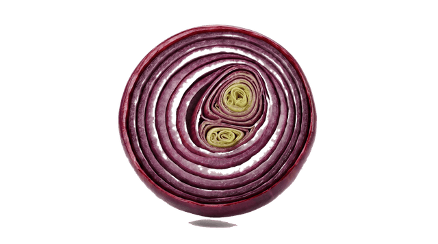 Onion
